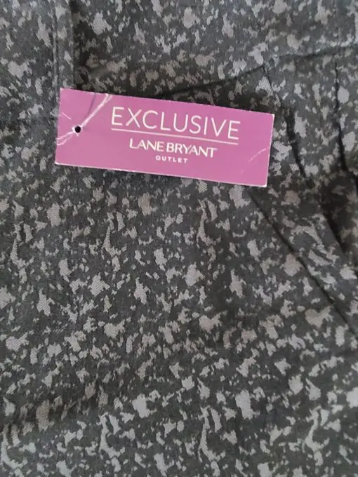 EXCLUSIVE

LANE BRYANT OUTLET  14 - Image 2