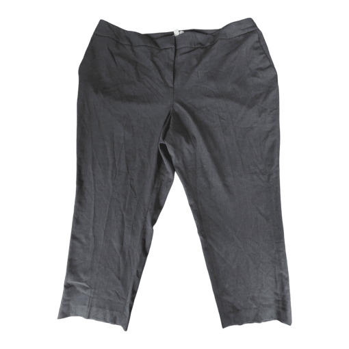 Bar III Pant 24W