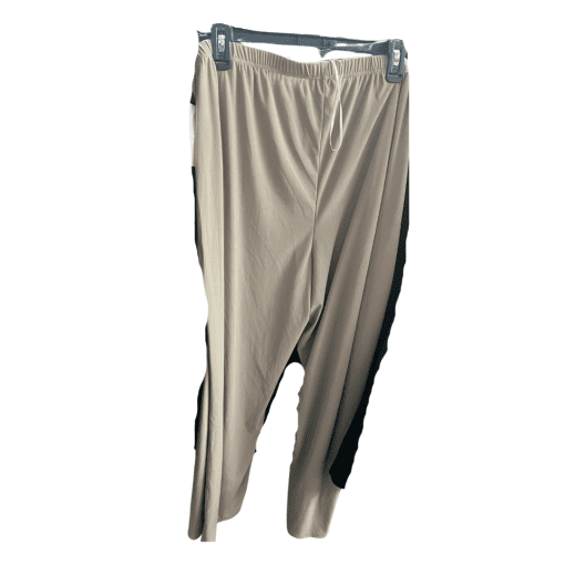 R&M Richards Plus Size Taupe Pants - Women's Trousers - Image 2