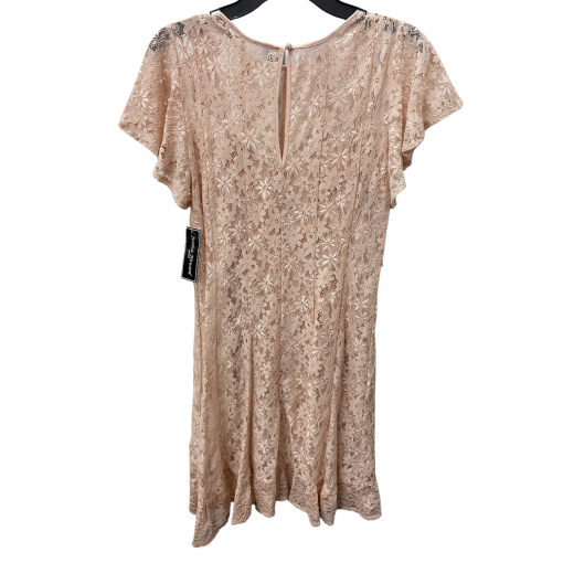 Jessica Howard Petite Lace Dress, Blush, Size 6P, Cocktail Dress - Image 2