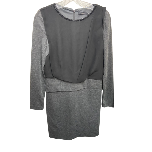 G2000 Gray Dress Size 38 Long Sleeve Cocktail Party Dress